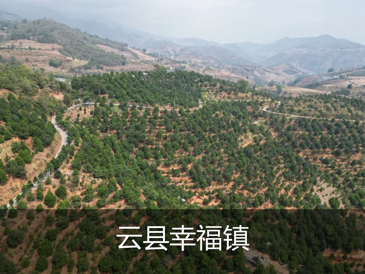 云县幸福镇