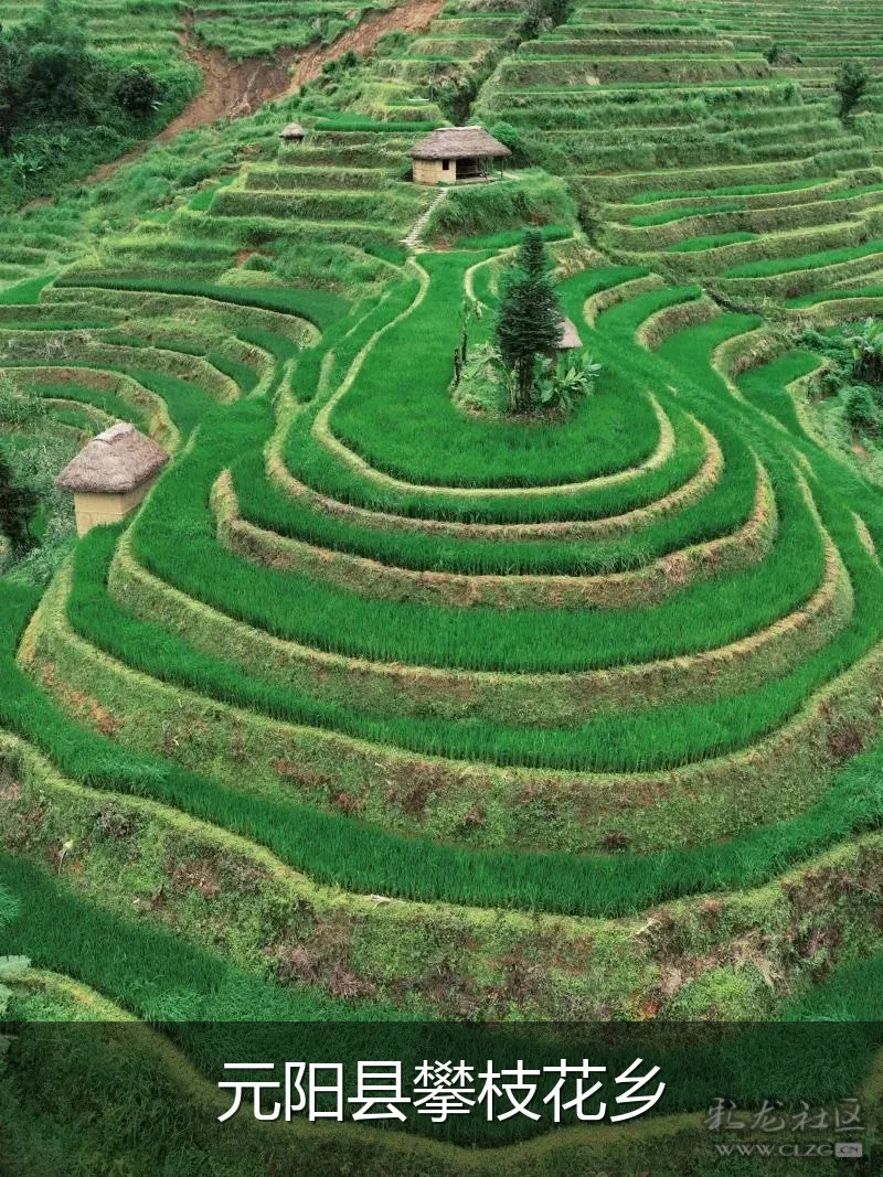 元阳县攀枝花乡