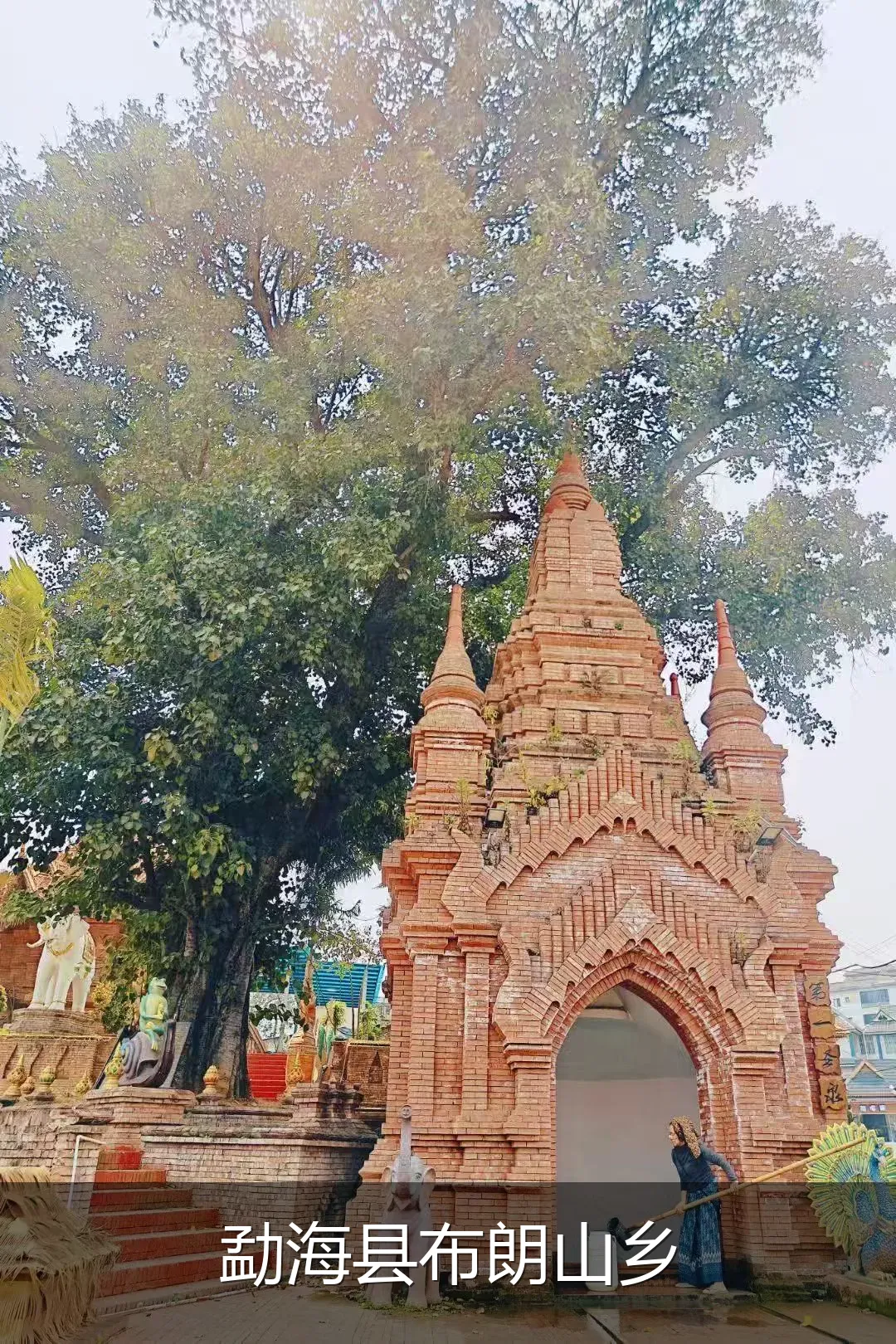 勐海县布朗山乡