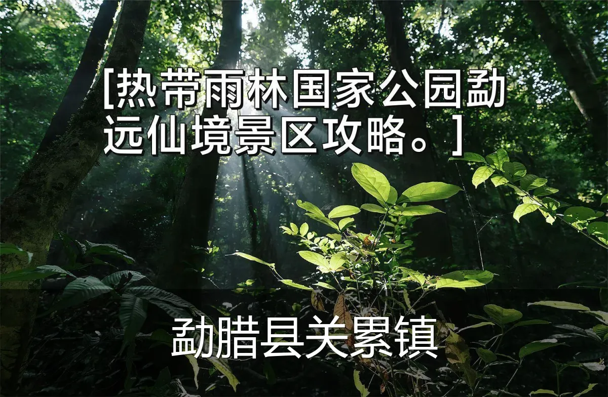 勐腊县关累镇