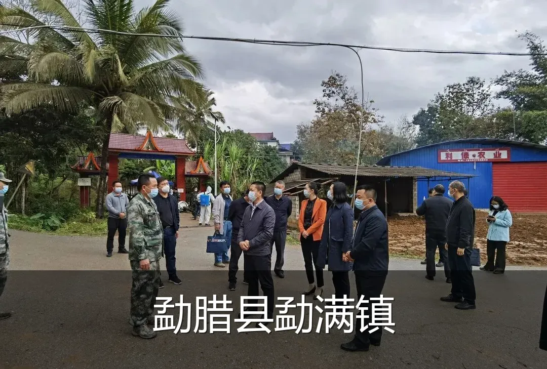 勐腊县勐满镇