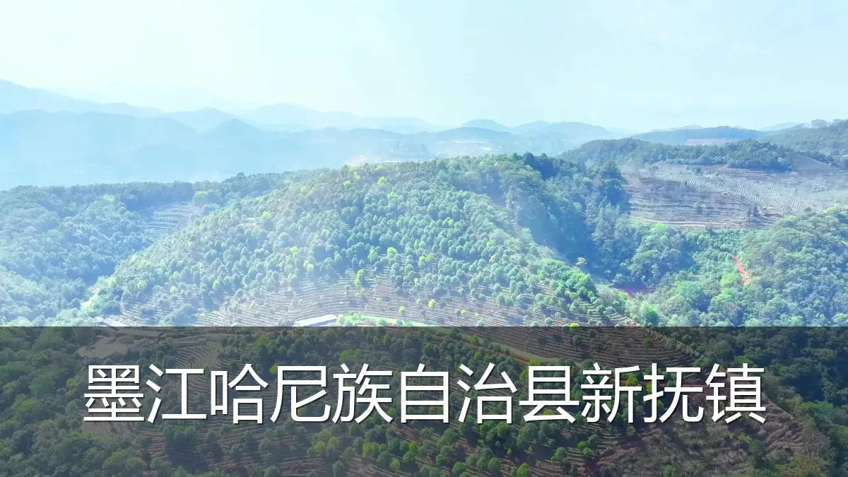 墨江哈尼族自治县新抚镇