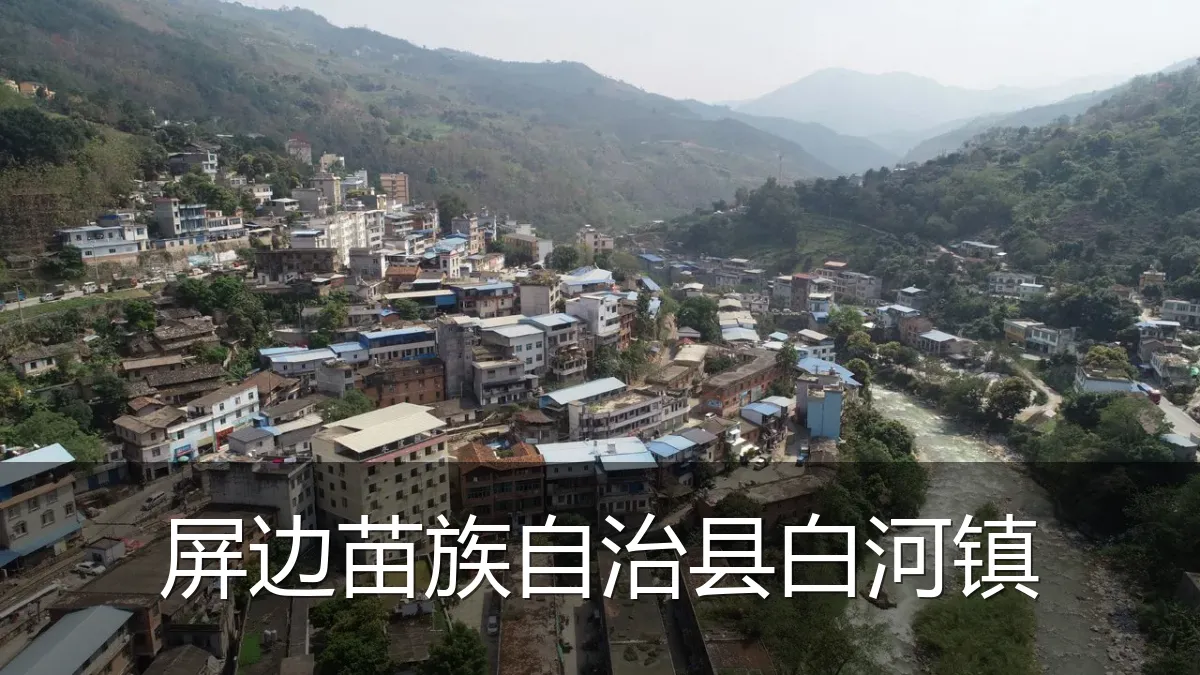 屏边苗族自治县白河镇