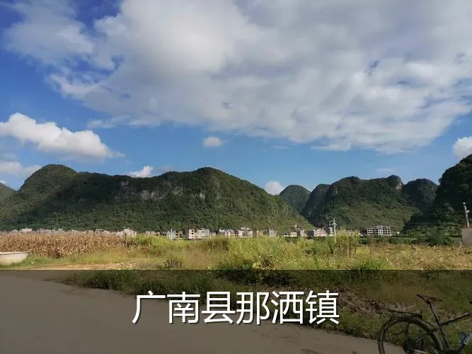 广南县那洒镇