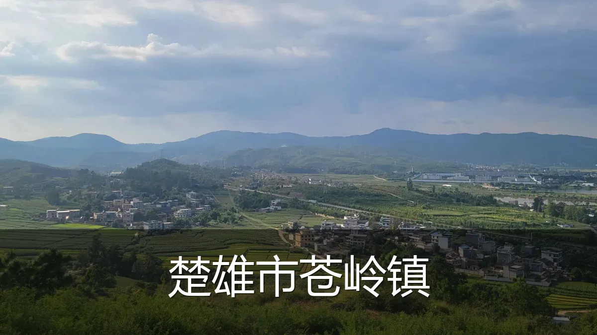 楚雄市苍岭镇