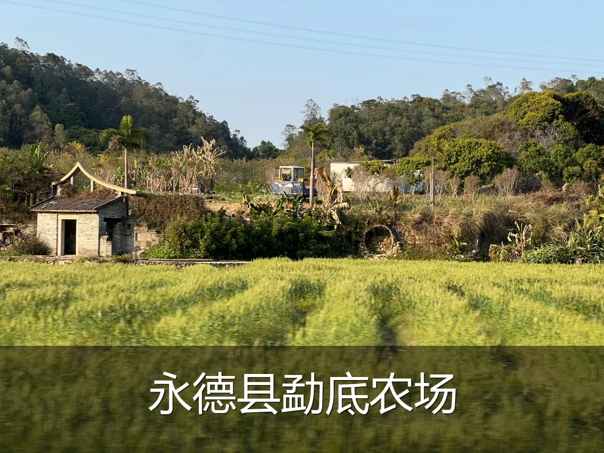 永德县勐底农场