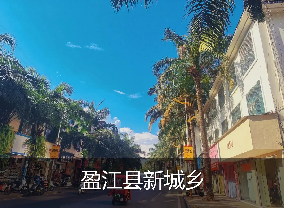 盈江县新城乡