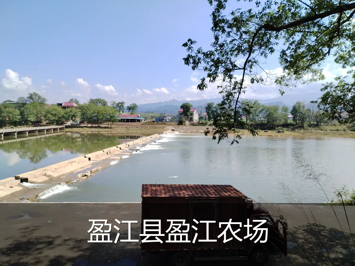 盈江县盈江农场