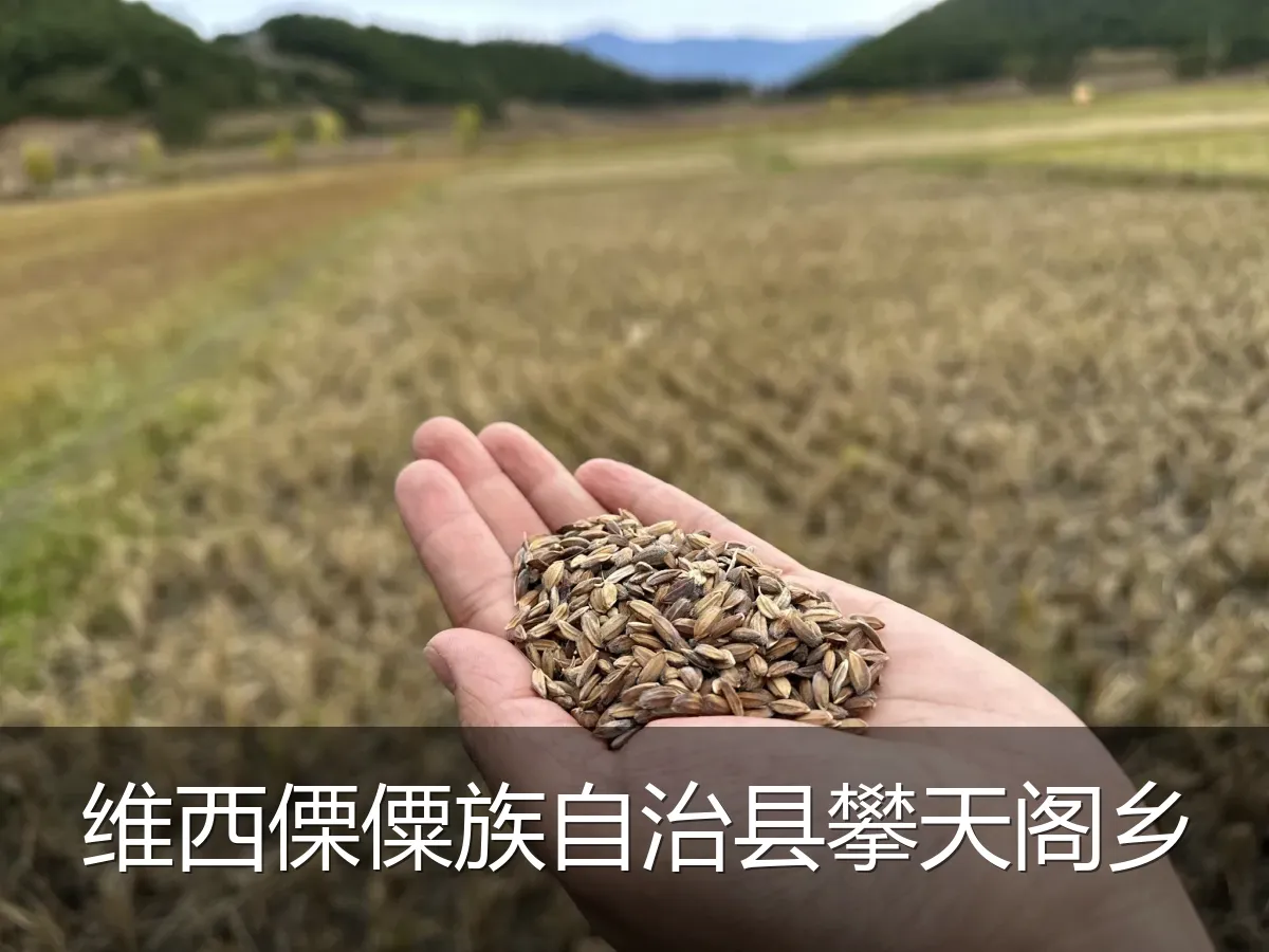 维西傈僳族自治县攀天阁乡