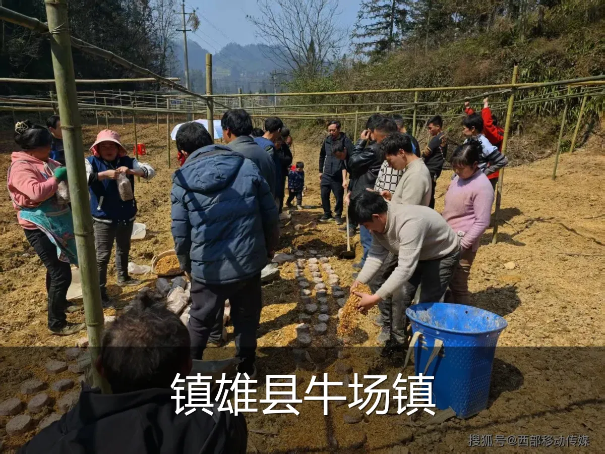 镇雄县牛场镇