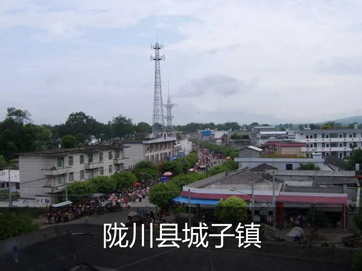 陇川县城子镇