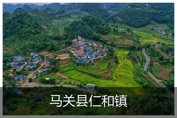 马关县仁和镇