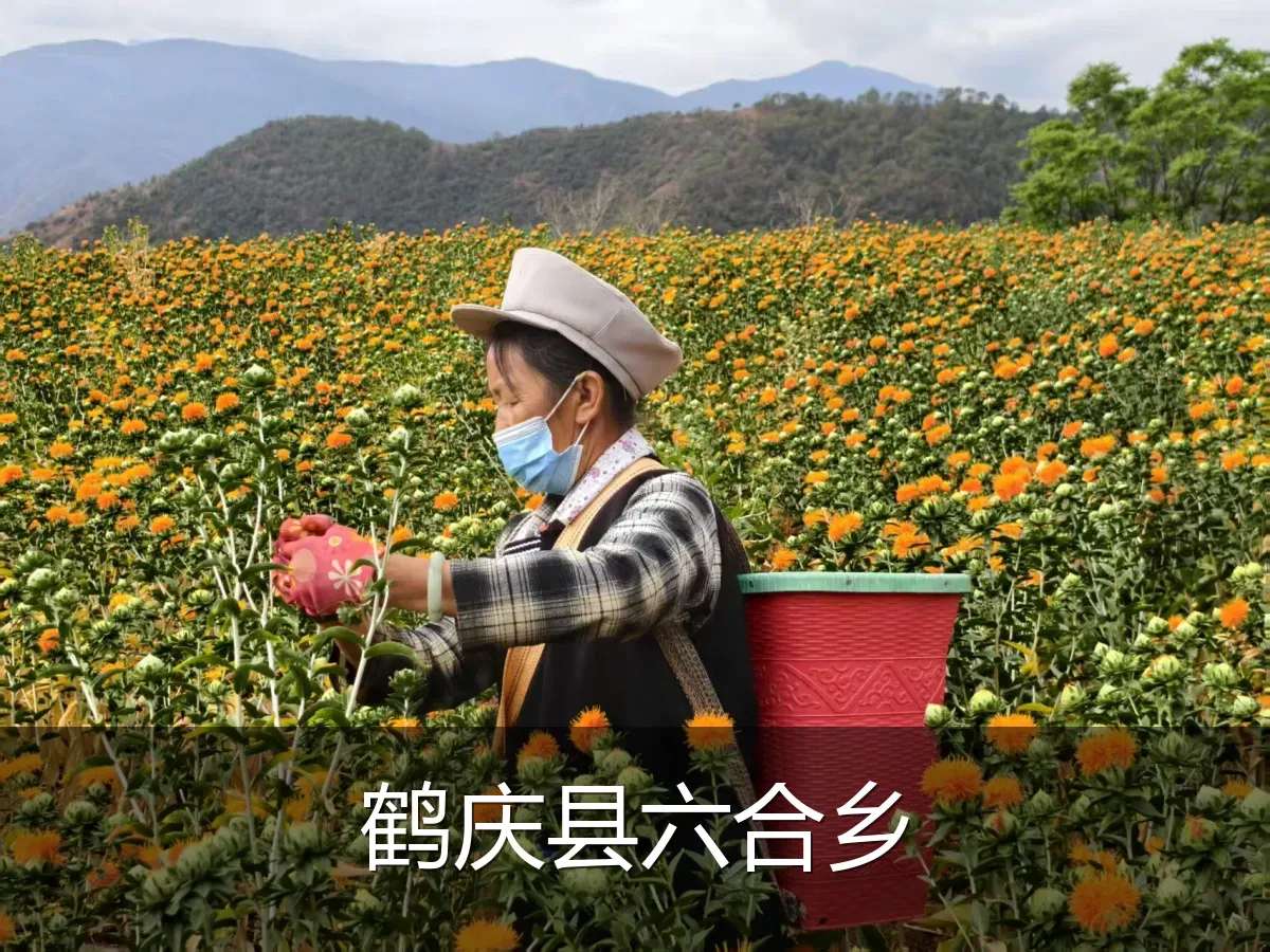 鹤庆县六合乡