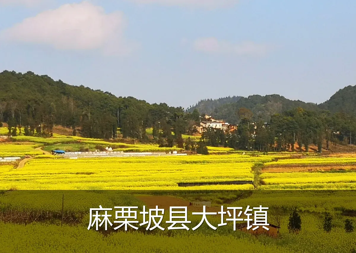 麻栗坡县大坪镇
