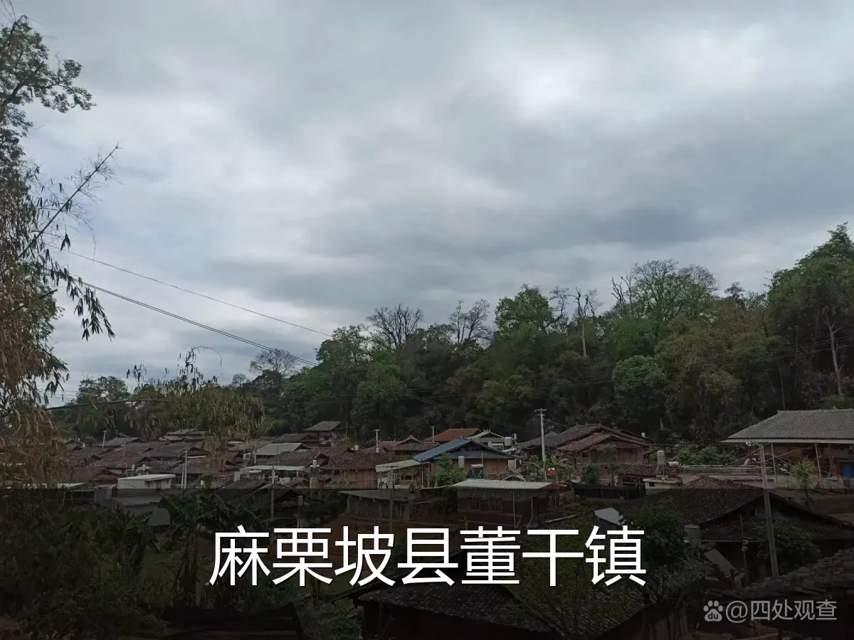 麻栗坡县董干镇