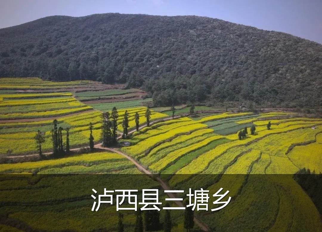 泸西县三塘乡