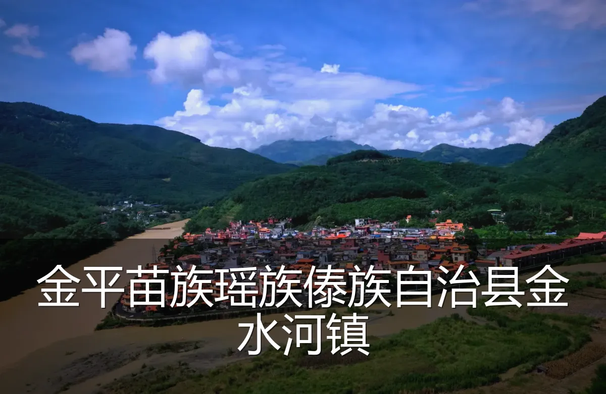 金平苗族瑶族傣族自治县金水河镇