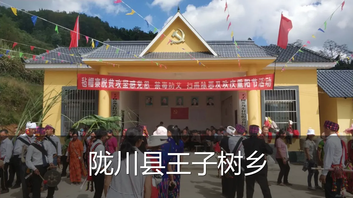 陇川县王子树乡
