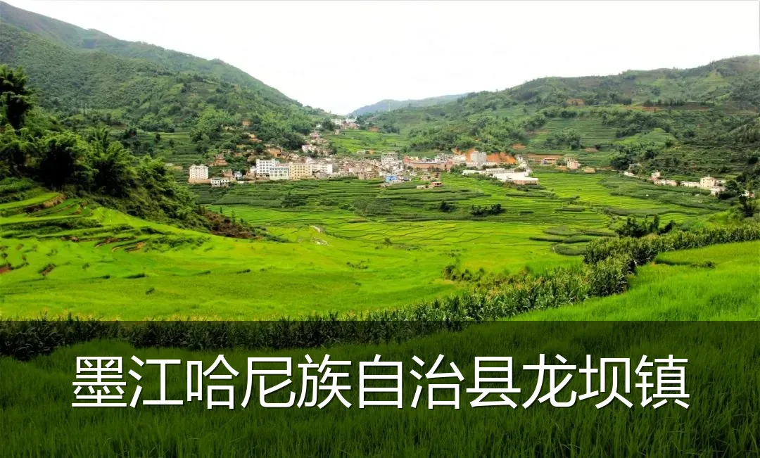 墨江哈尼族自治县龙坝镇