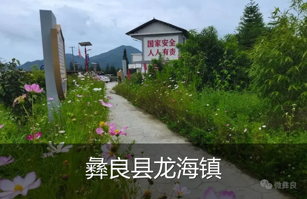 彝良县龙海镇