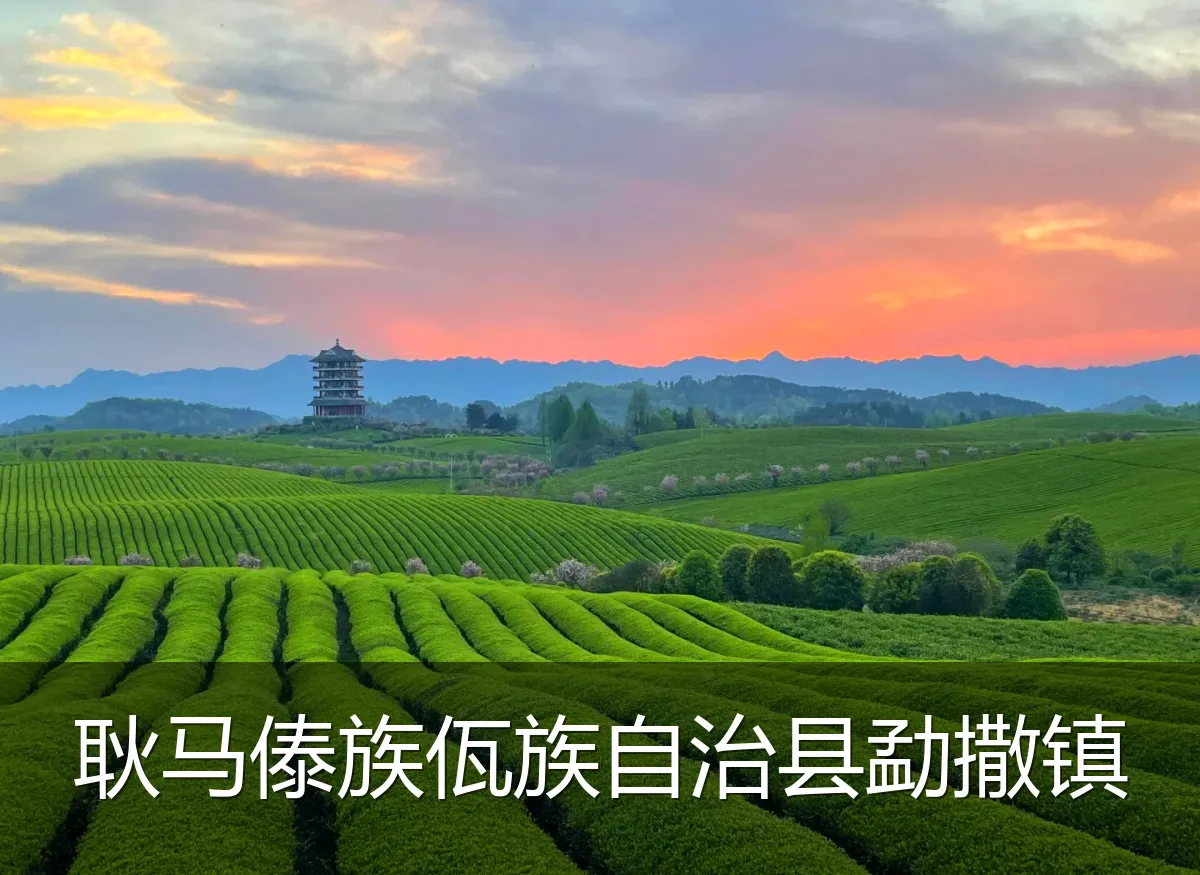 耿马傣族佤族自治县勐撒镇