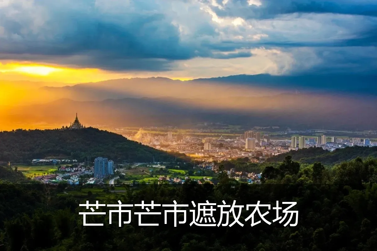 芒市芒市遮放农场