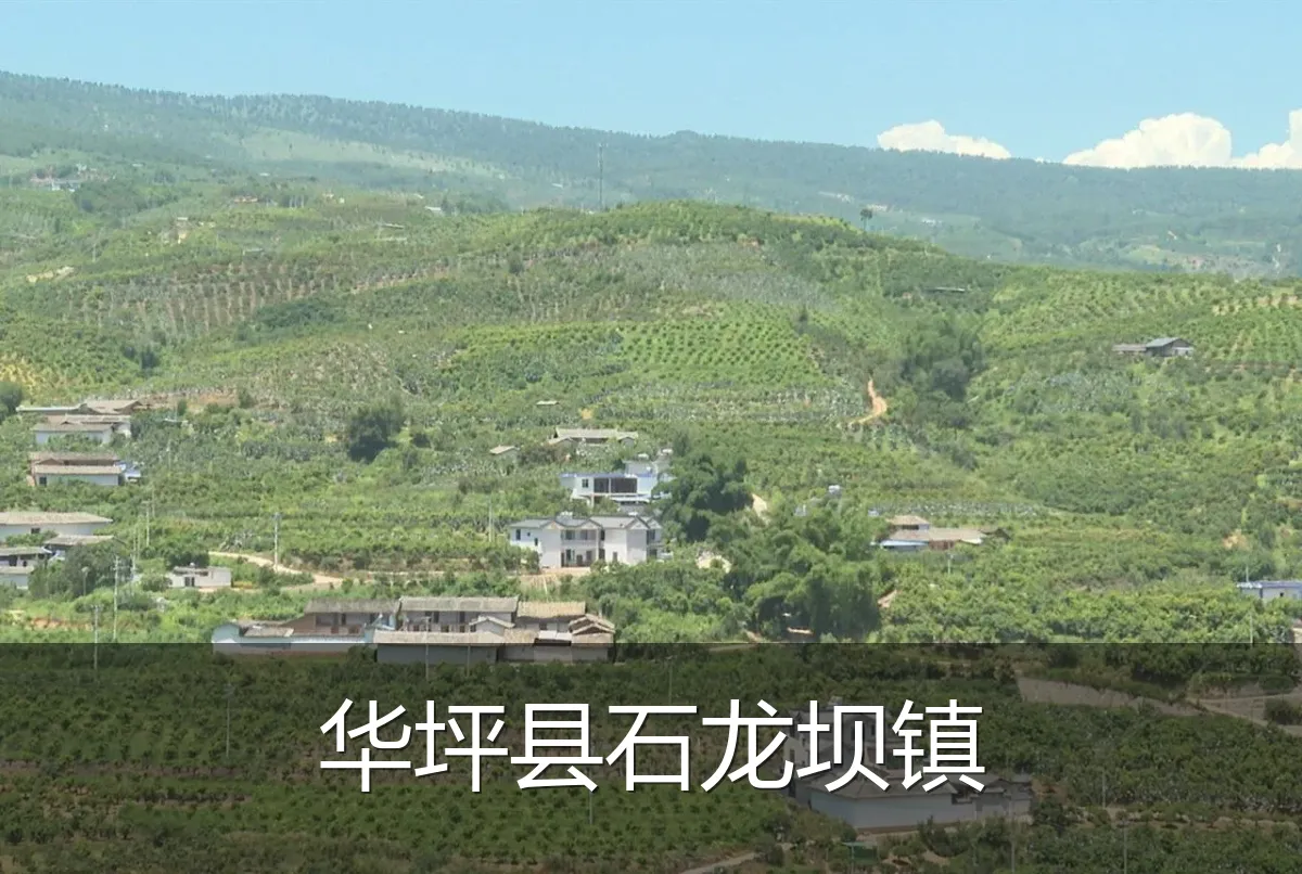 华坪县石龙坝镇