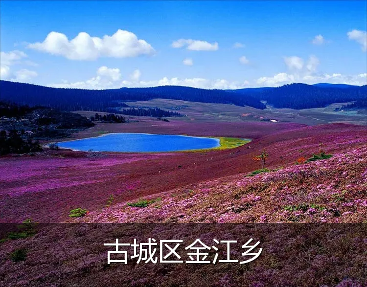古城区金江乡