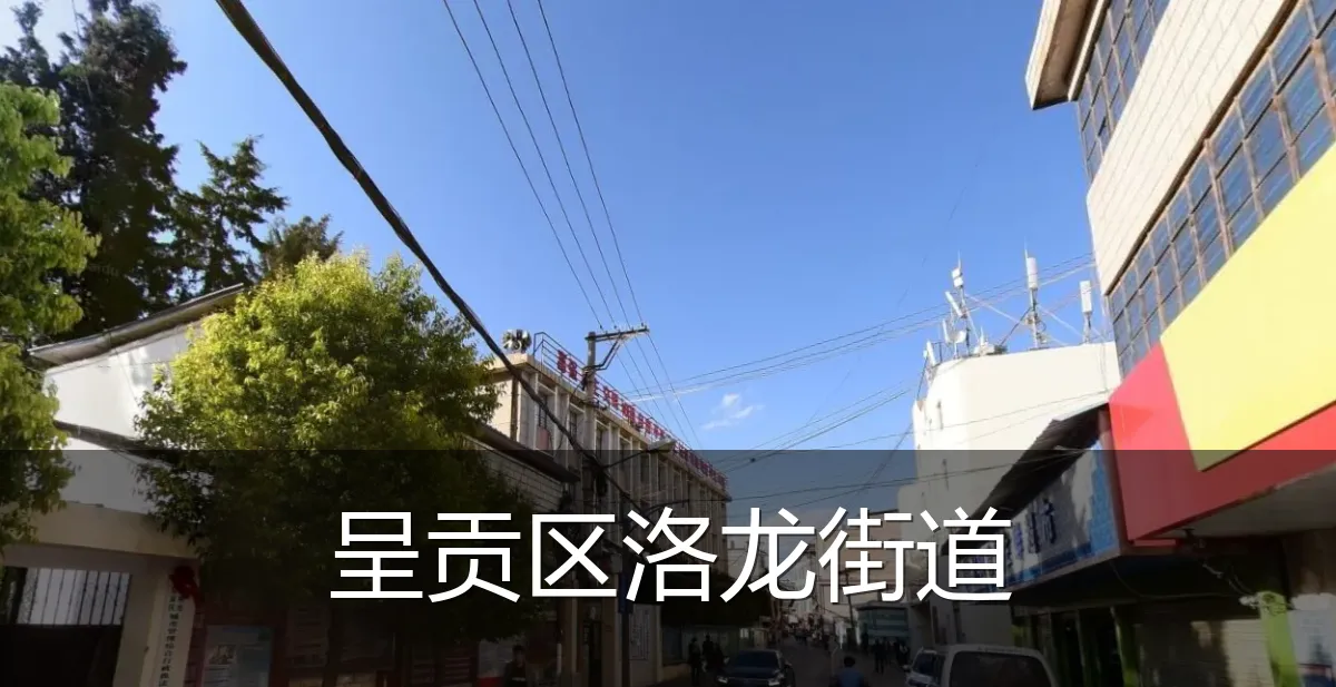 呈贡区洛龙街道