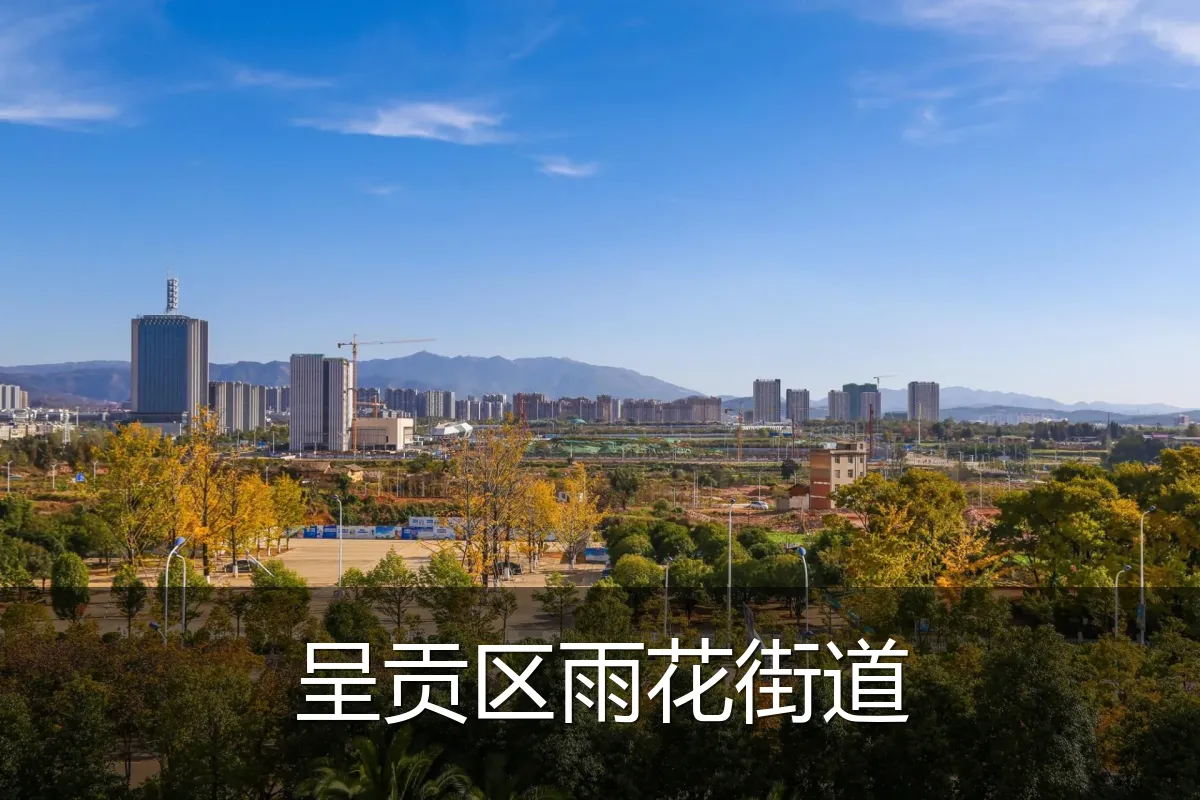 呈贡区雨花街道