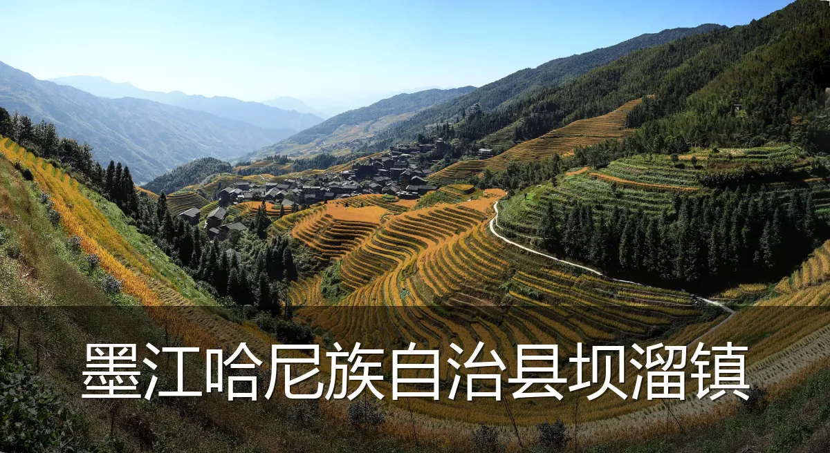 墨江哈尼族自治县坝溜镇