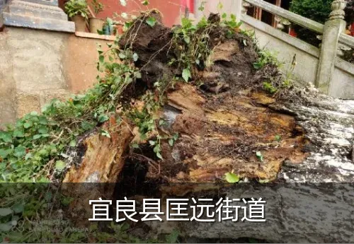 宜良县匡远街道