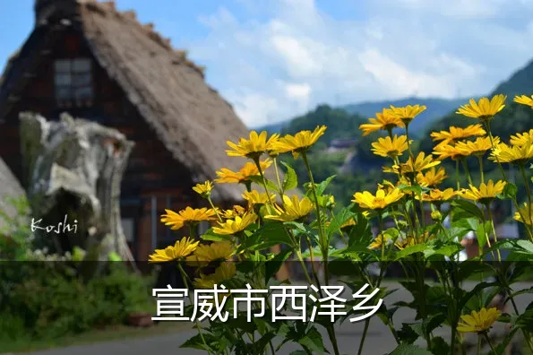 宣威市西泽乡