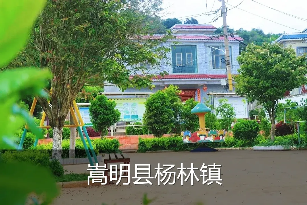 嵩明县杨林镇