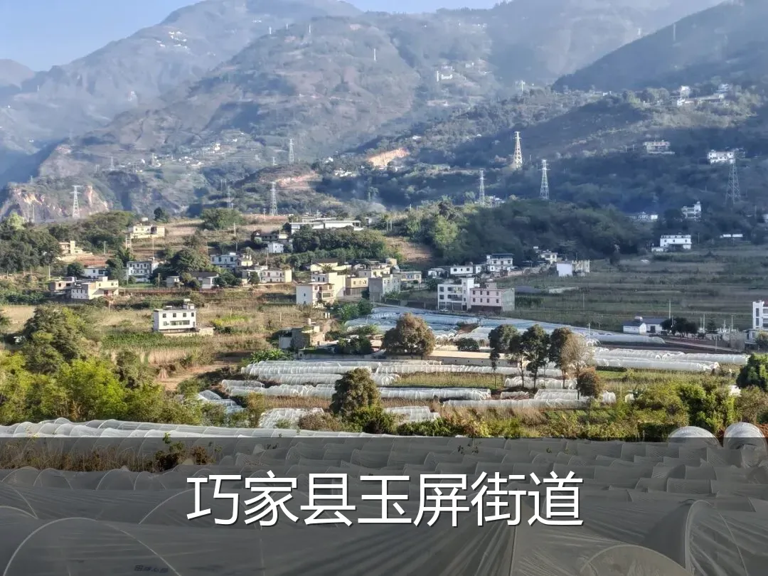 巧家县玉屏街道