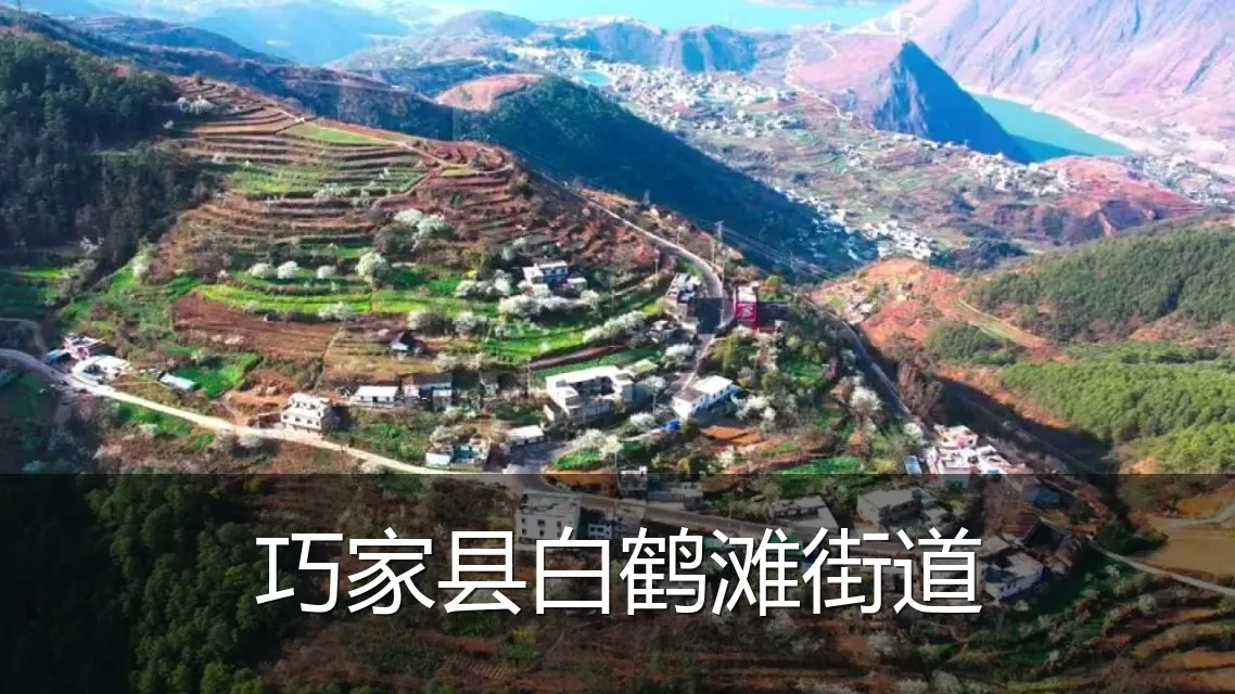 巧家县白鹤滩街道