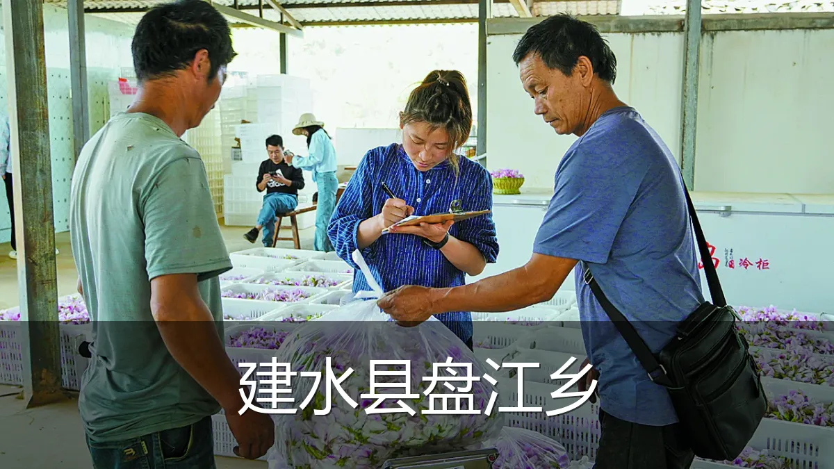 建水县盘江乡