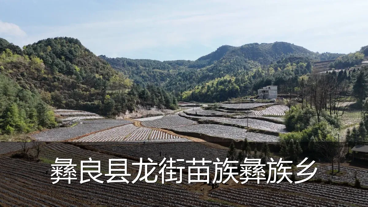 彝良县龙街苗族彝族乡