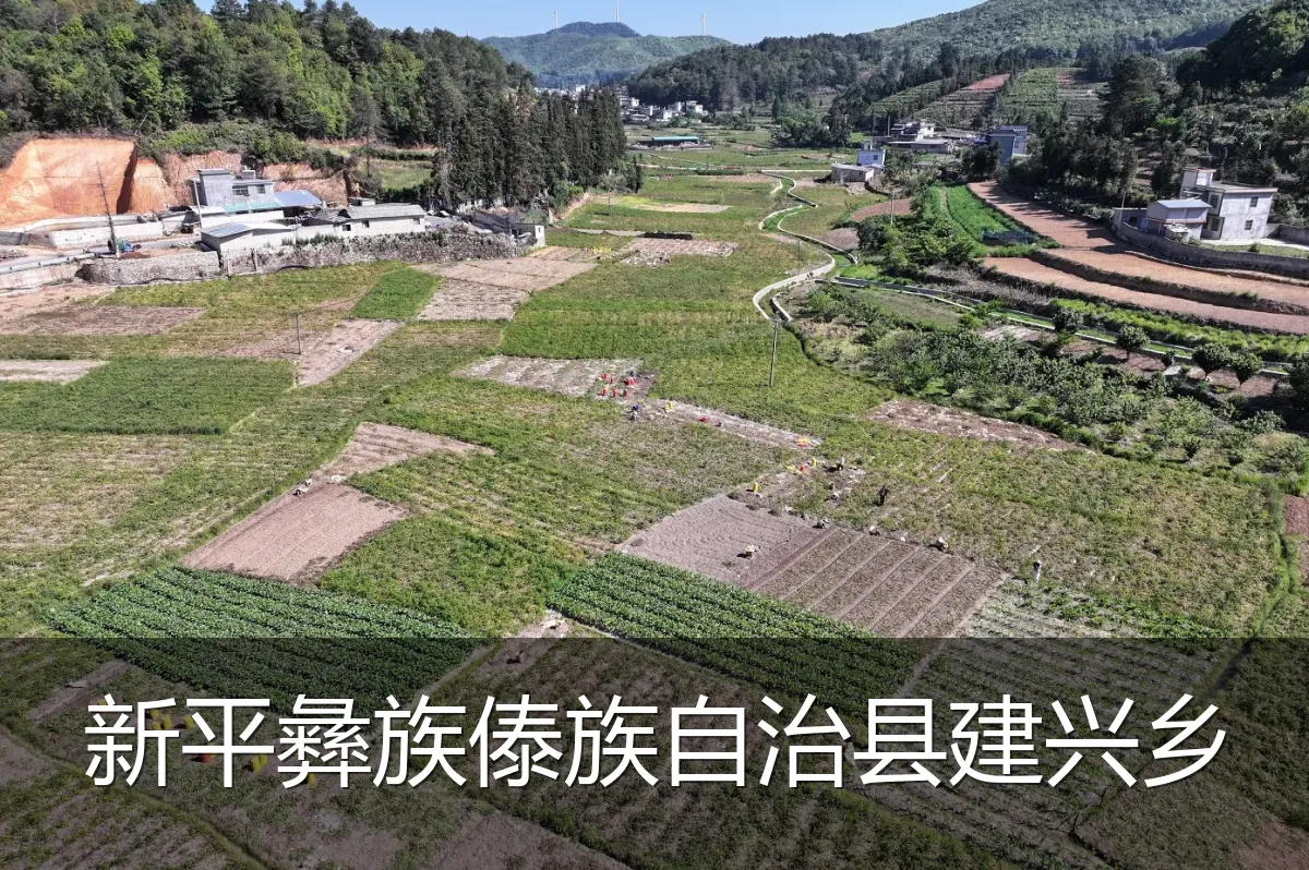 新平彝族傣族自治县建兴乡