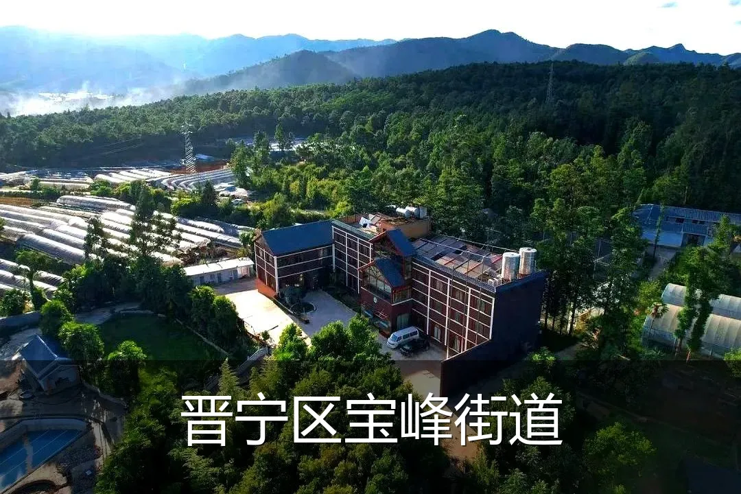 晋宁区宝峰街道