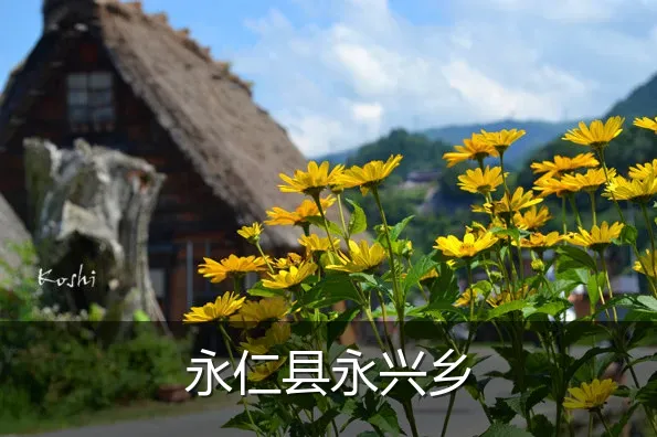 永仁县永兴乡