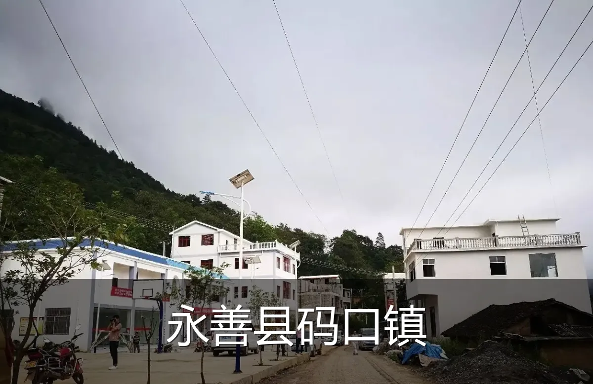 永善县码口镇