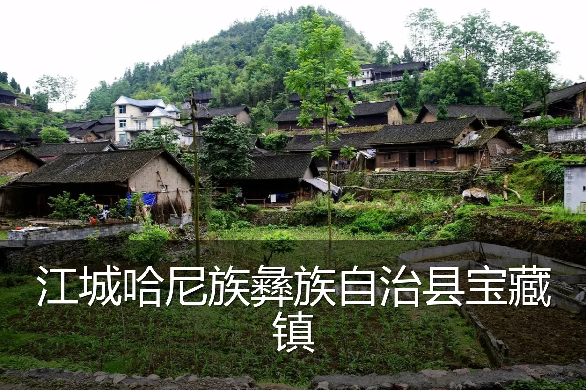 江城哈尼族彝族自治县宝藏镇