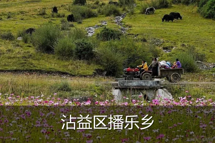 沾益区播乐乡