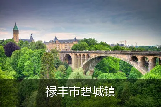 禄丰市碧城镇