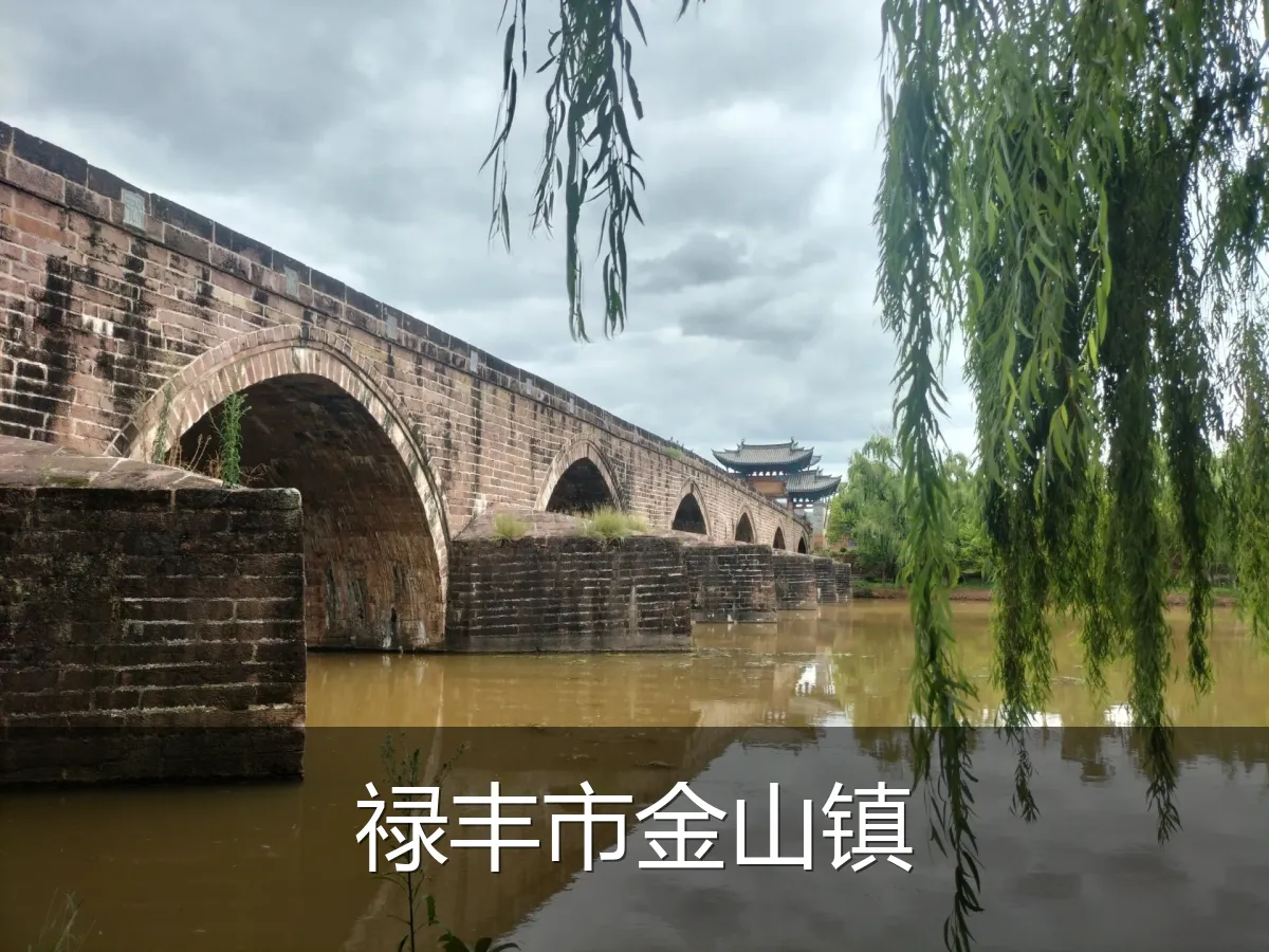 禄丰市金山镇