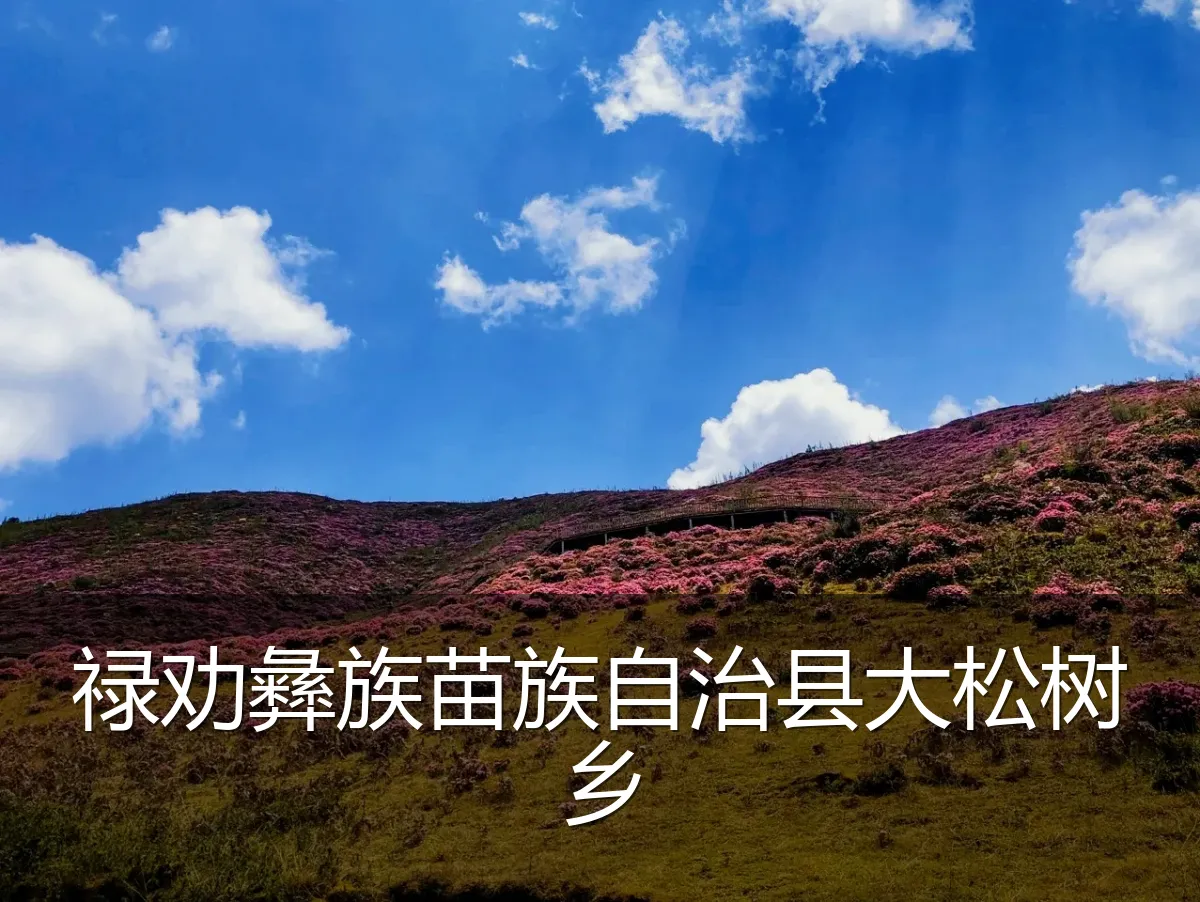 禄劝彝族苗族自治县大松树乡