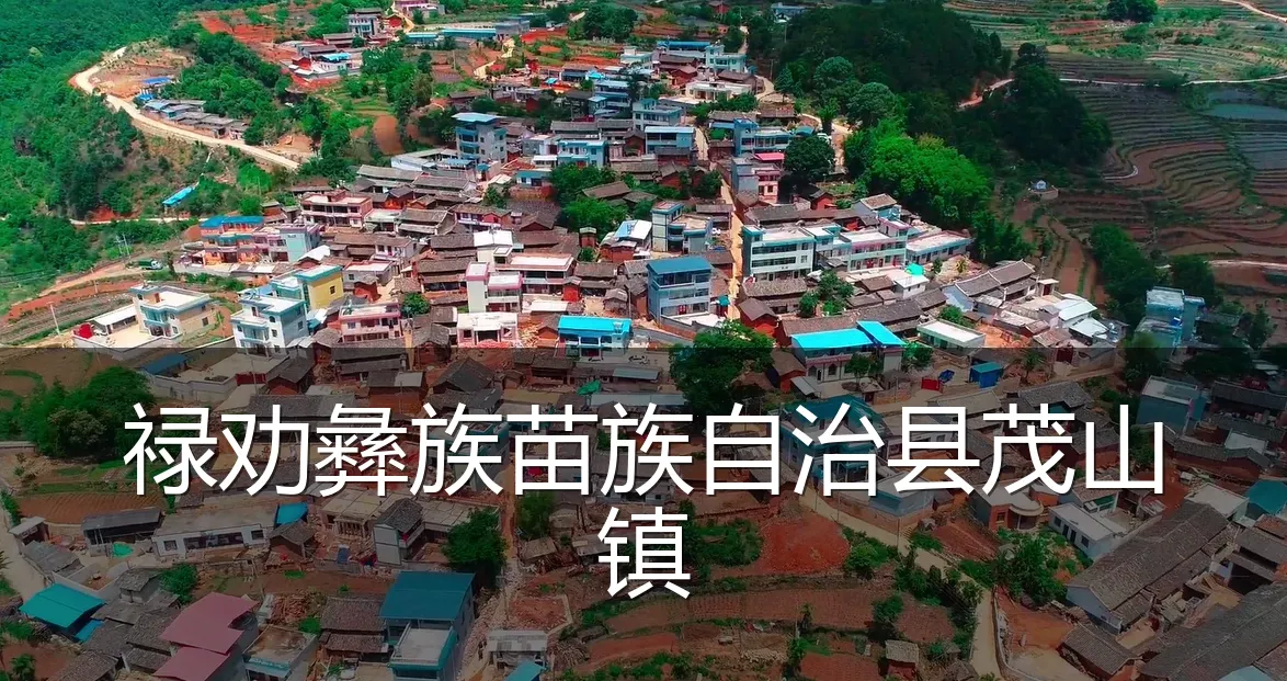 禄劝彝族苗族自治县茂山镇