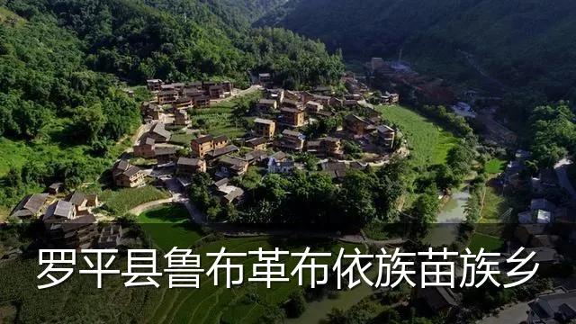 罗平县鲁布革布依族苗族乡