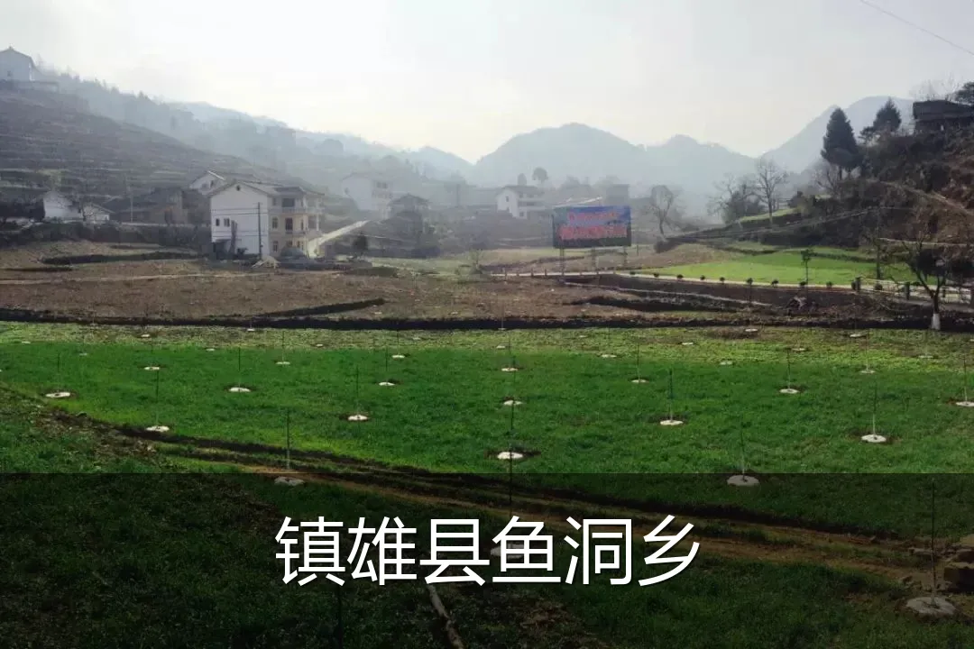 镇雄县鱼洞乡
